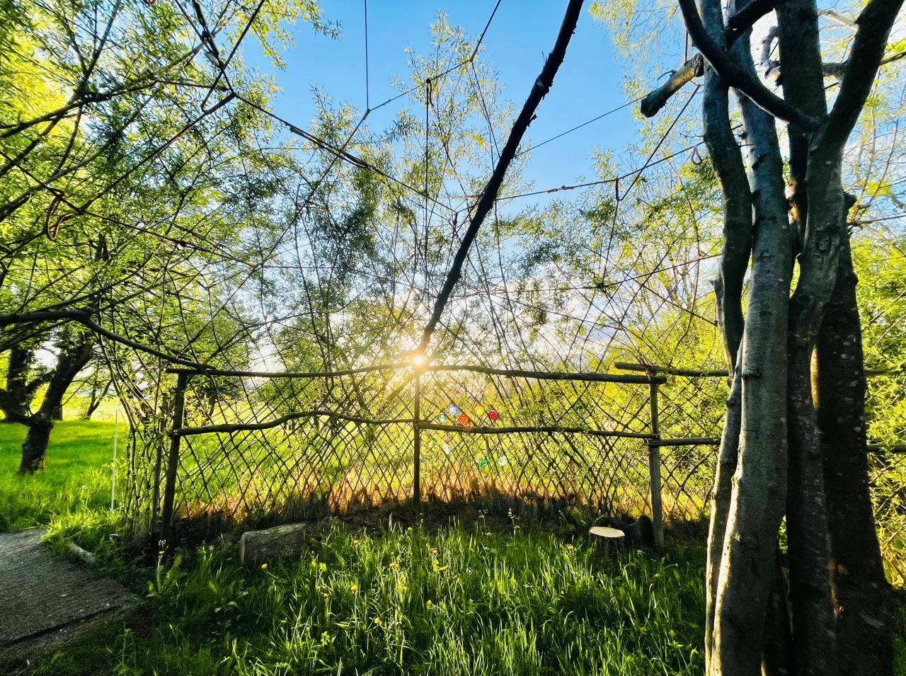 Waldparadies