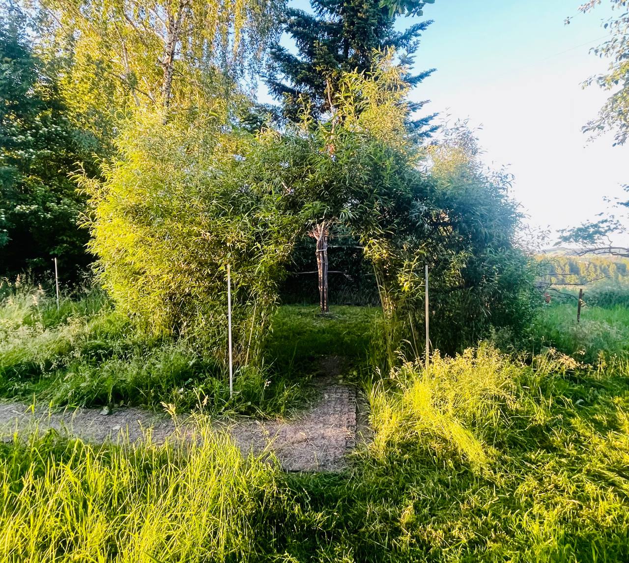 Waldparadies